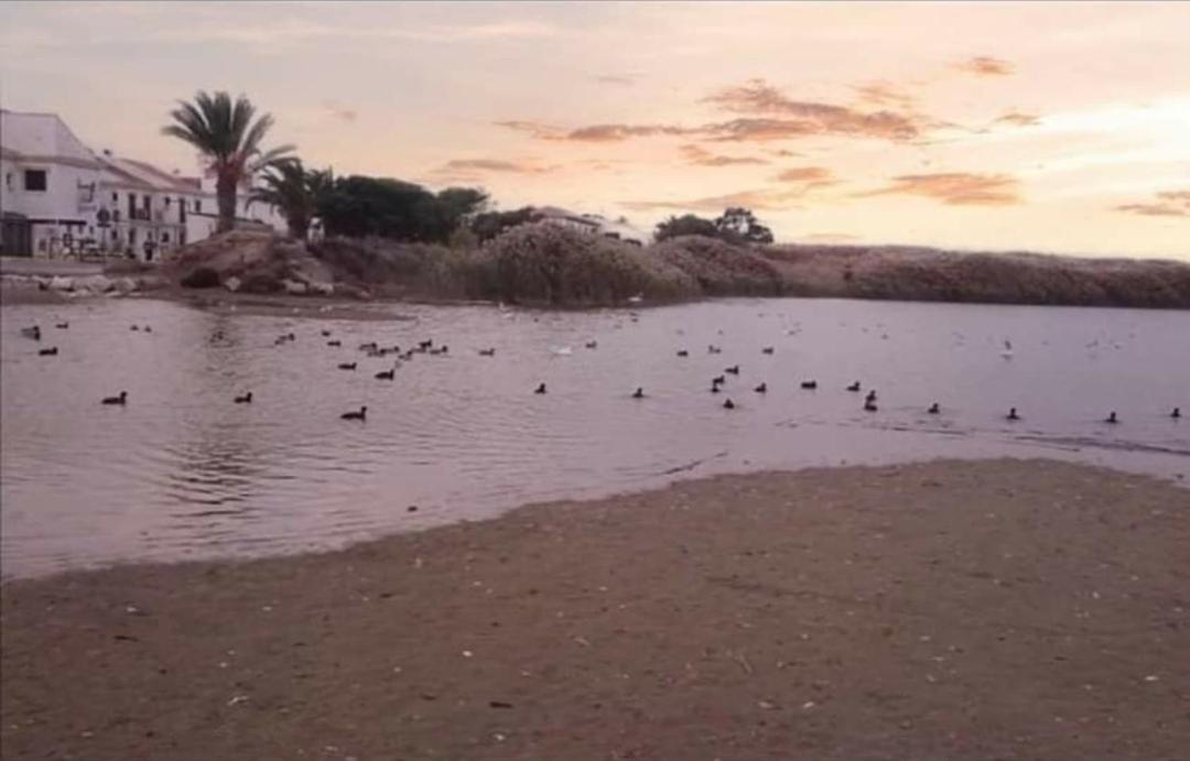 Urbanizacion Vera Coast エクステリア 写真